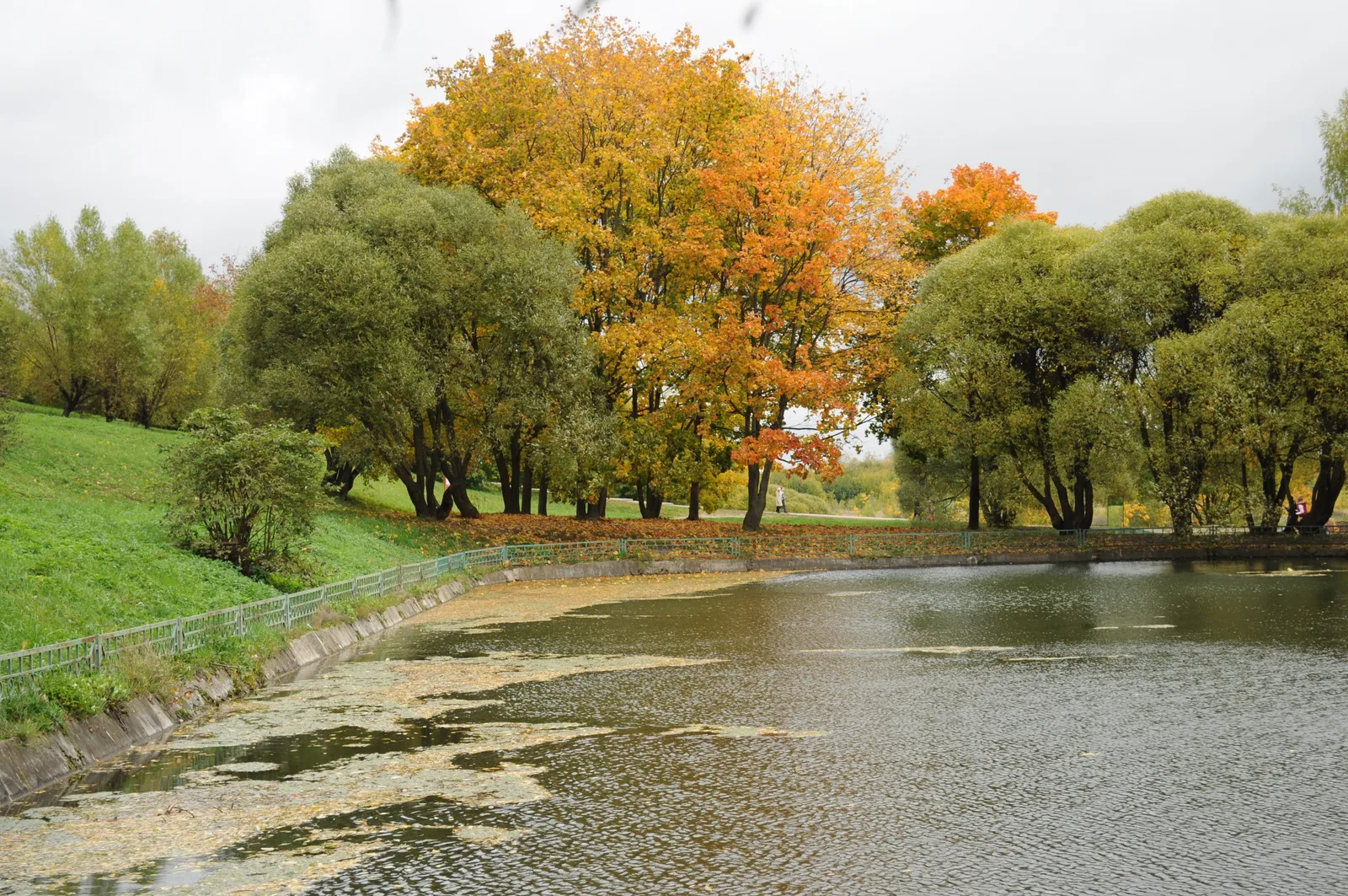 Photo from 2 October 2011