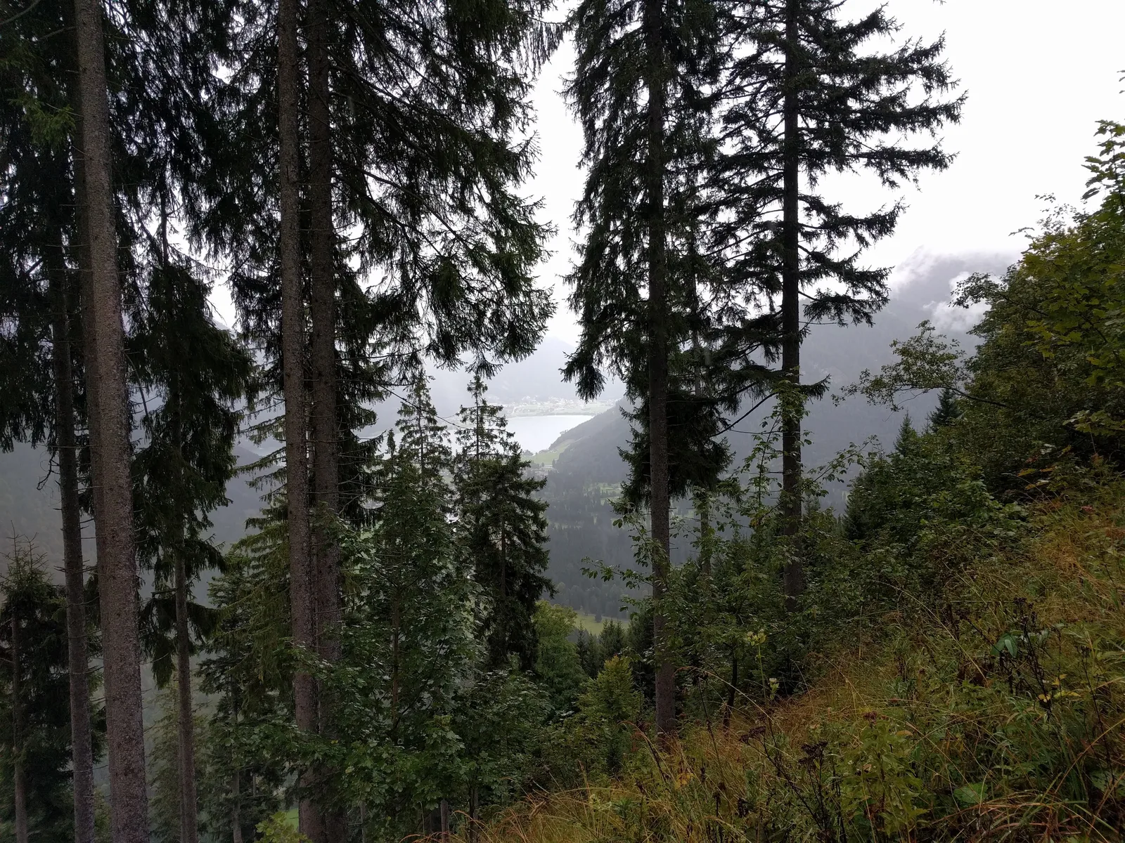 Photo from 17 September 2017