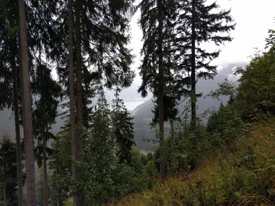 Photo from 17 September 2017
