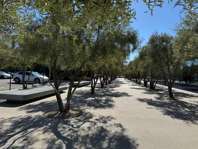 Cupertino, United States — 21 October 2025