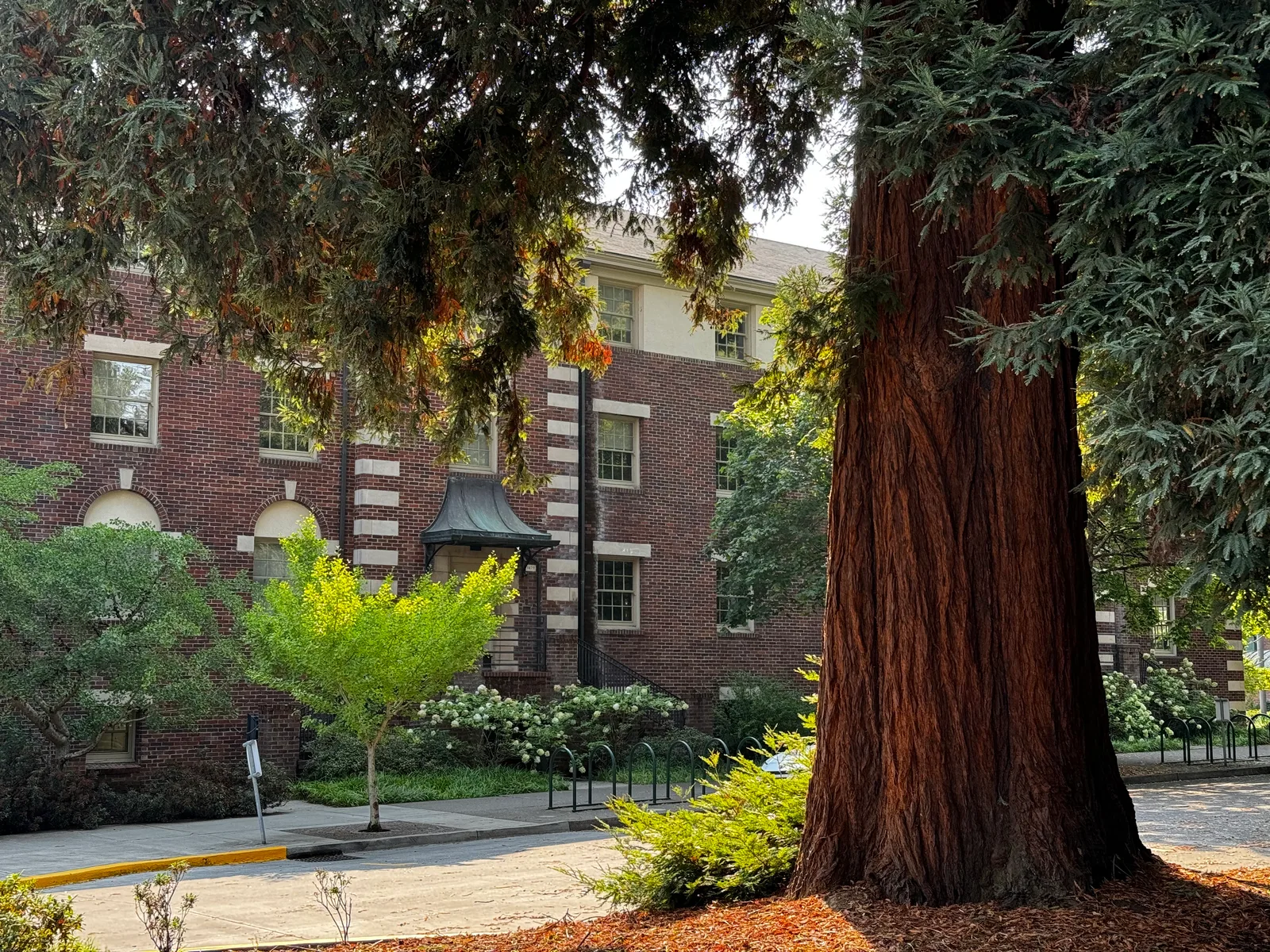 Eugene, United States — 4 September 2024