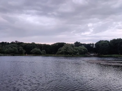Lefortovo, Russia — 7 July 2020