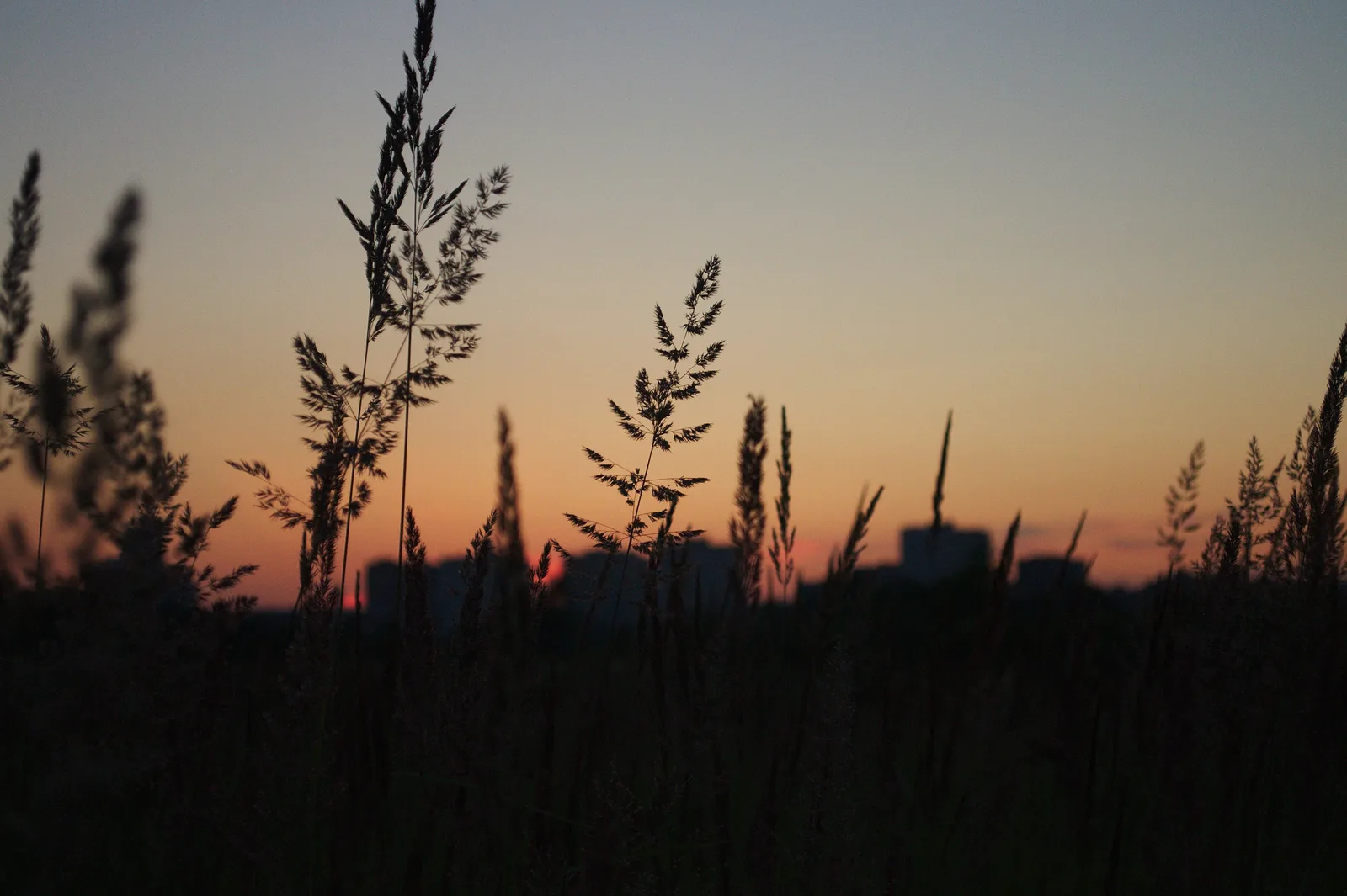 Photo from 2 July 2011