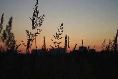 Photo from 2 July 2011