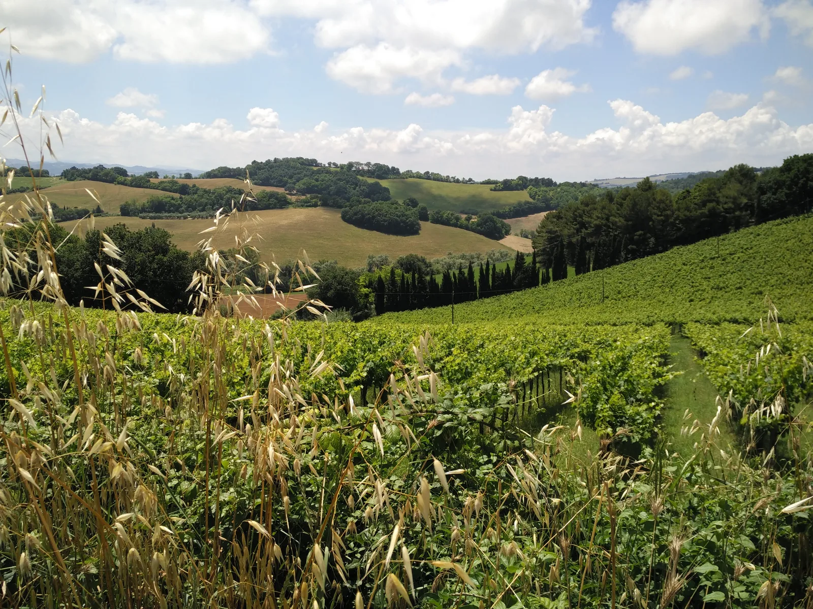 Gradara, Italy — 13 June 2016