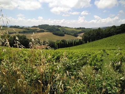 Gradara, Italy — 13 June 2016