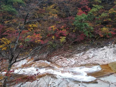Sokcho, South Korea — 21 October 2016