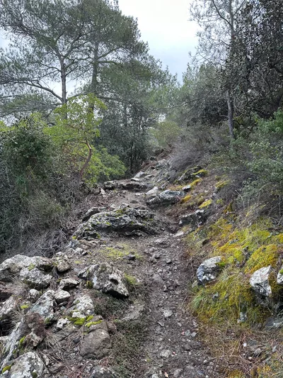 Peléndri, Cyprus — 25 February 2023