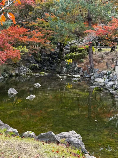 Kyoto, Japan — 27 November 2024