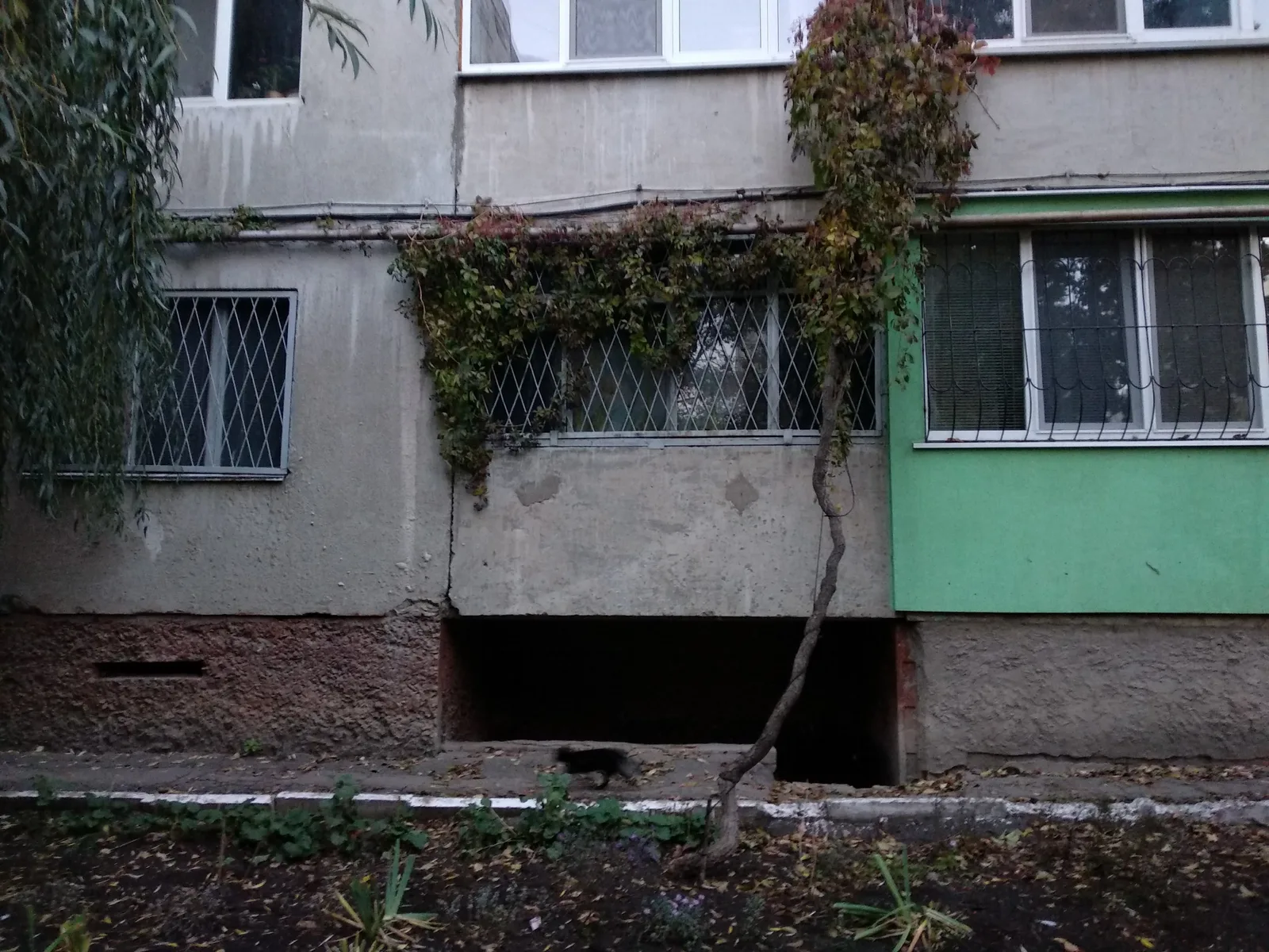 Photo from 19 October 2017