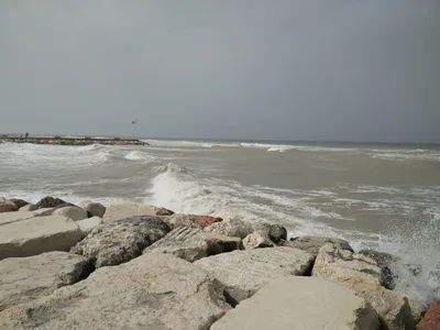 Pesaro, Italy — 16 June 2016