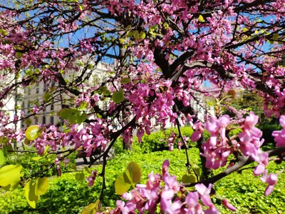 Photo from 20 March 2019