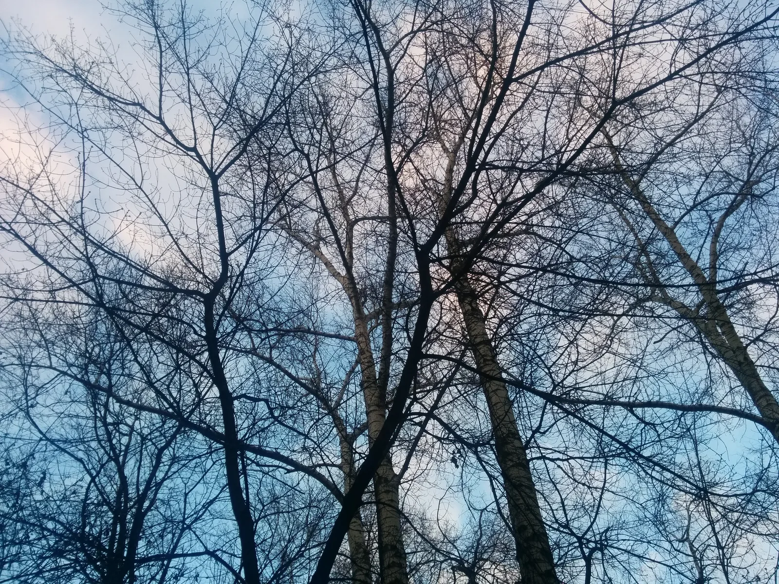 Photo from 6 March 2015