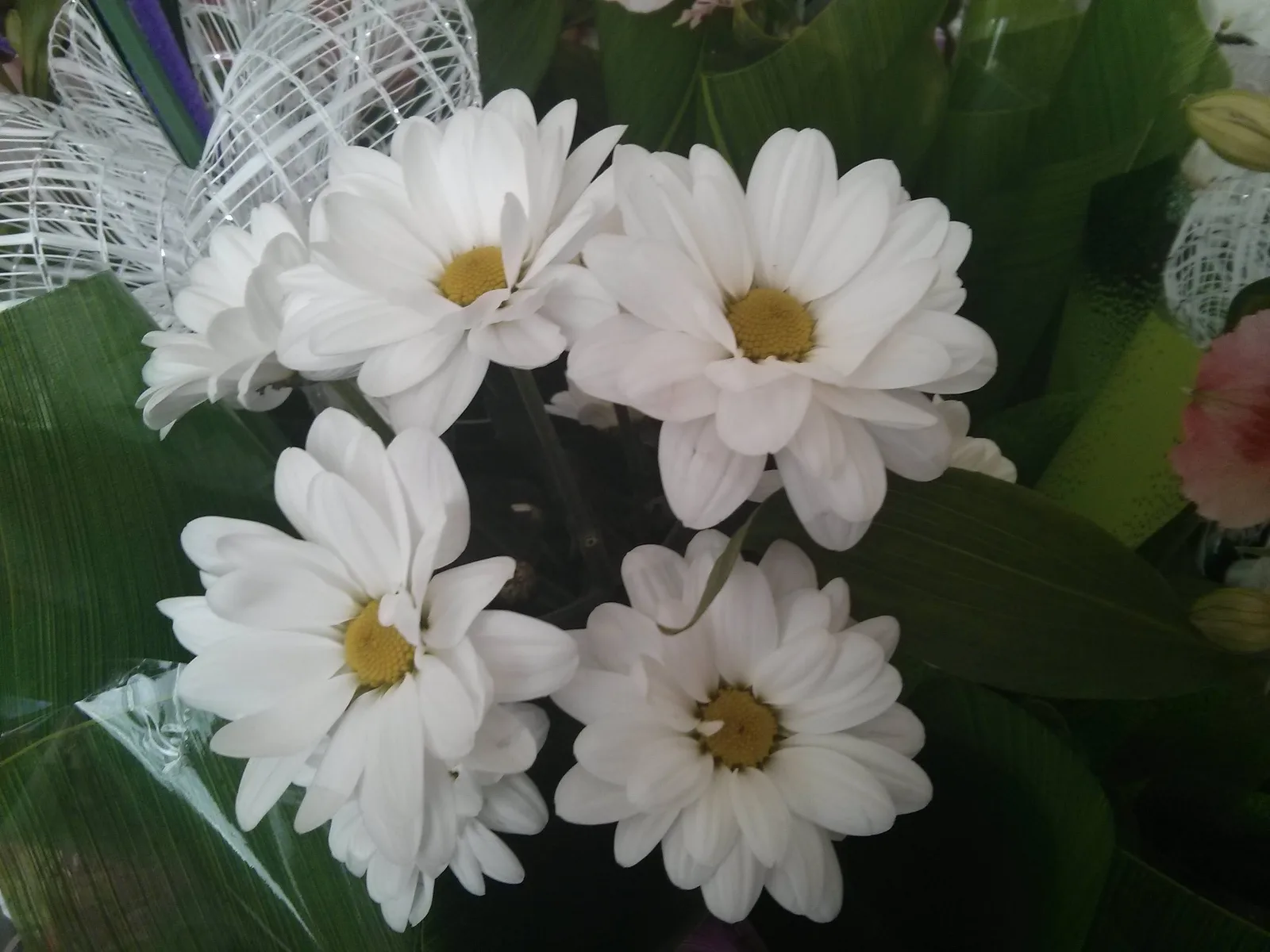 Photo from 1 March 2014