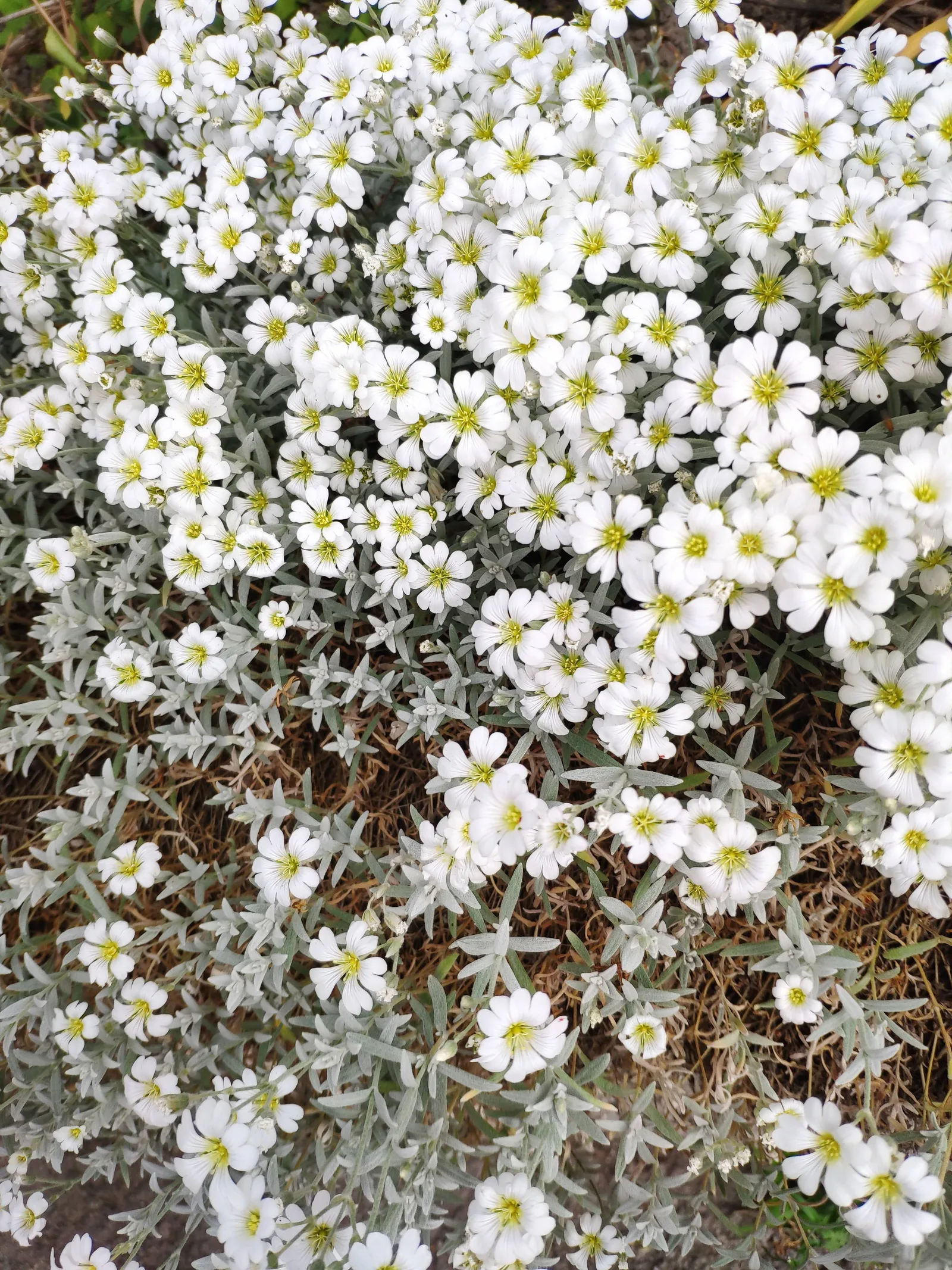 Photo from 17 June 2019