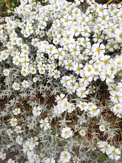 Photo from 17 June 2019