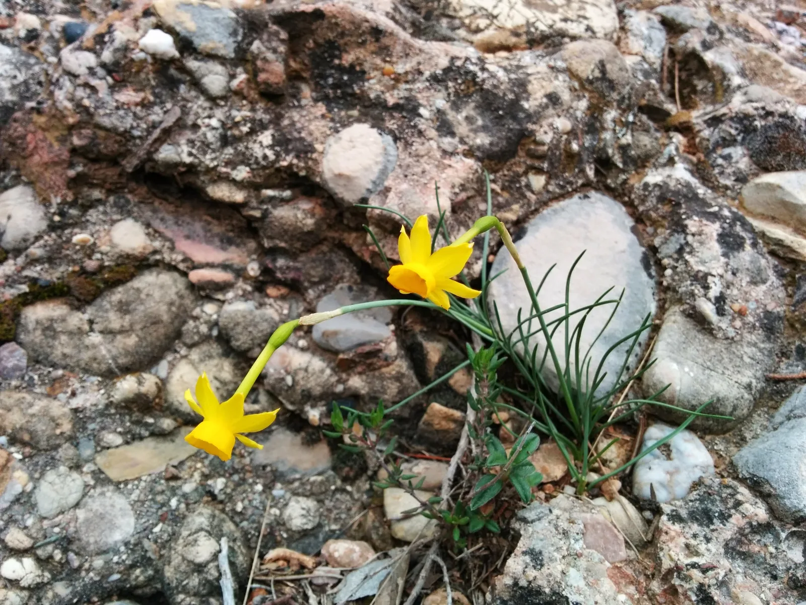 Photo from 2 April 2014