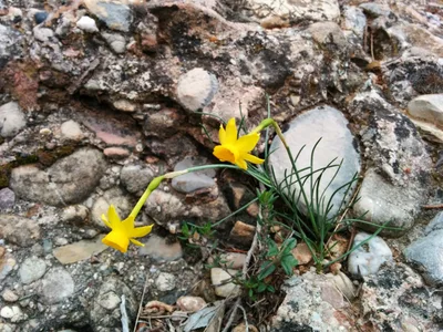 Photo from 2 April 2014