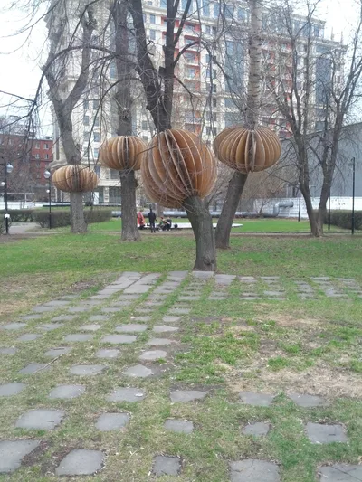 Photo from 27 April 2013