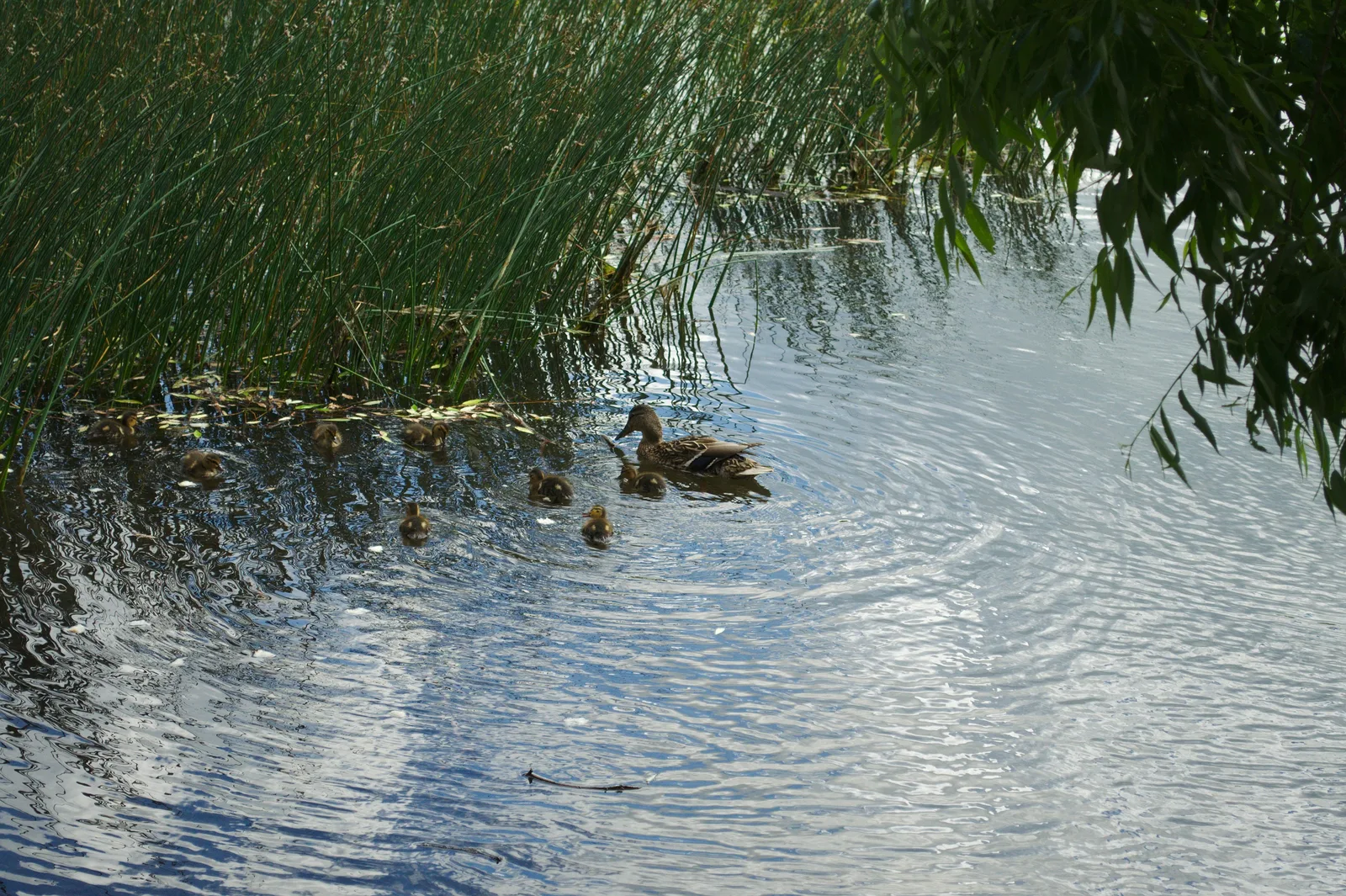 Photo from 4 June 2011