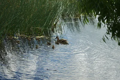 Photo from 4 June 2011
