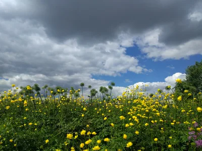 Photo from 24 June 2017