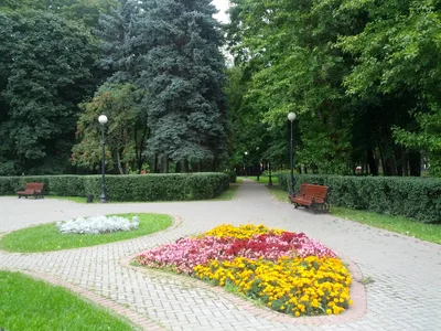 Photo from 31 August 2013