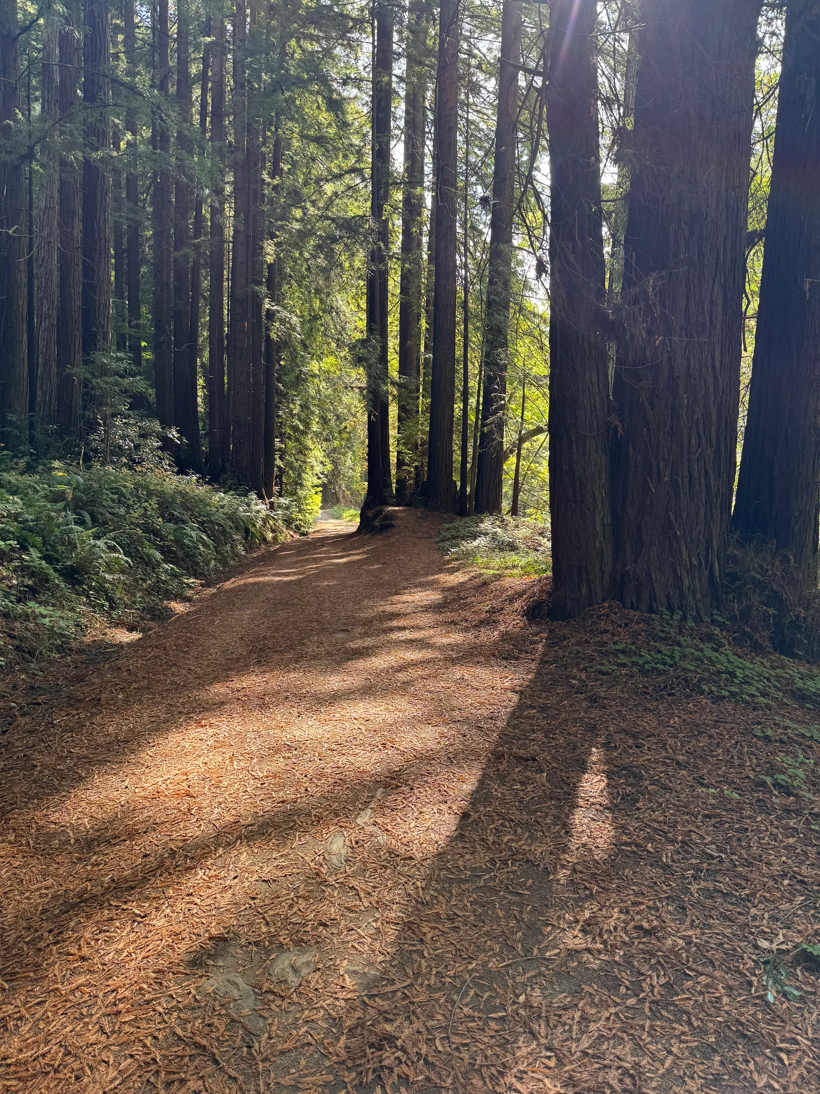 Day Valley, United States — 22 October 2025