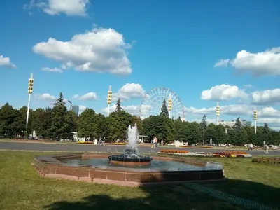 Photo from 25 July 2014