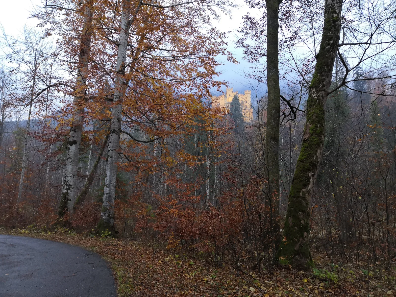 Schwangau, Germany — 8 November 2018