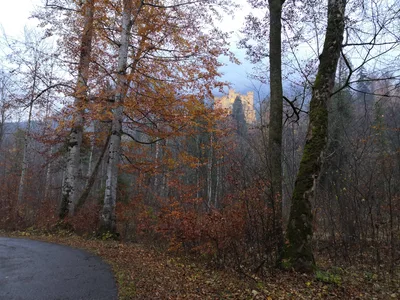 Schwangau, Germany — 8 November 2018