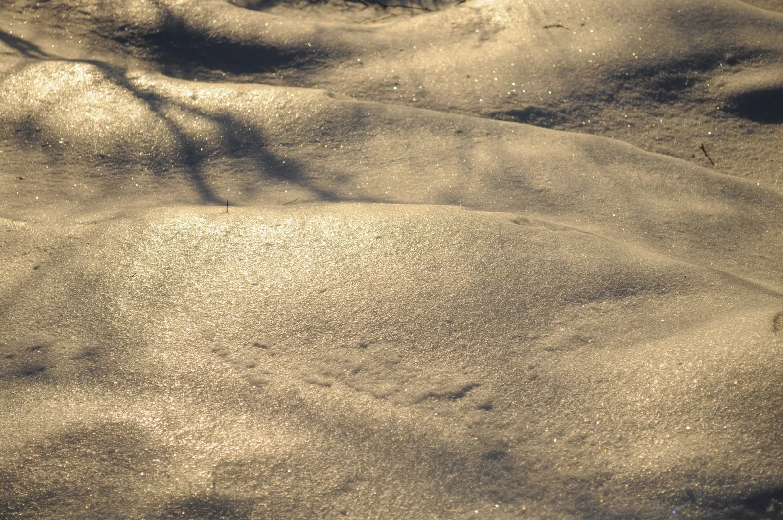 Photo from 15 December 2013