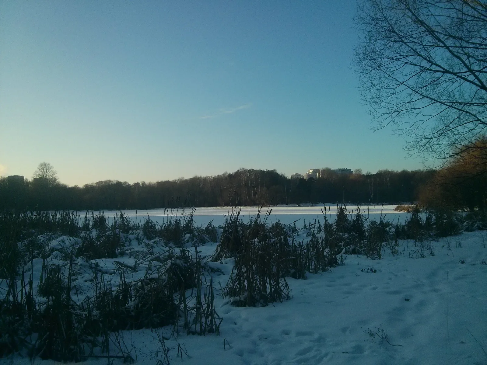 Photo from 7 January 2015