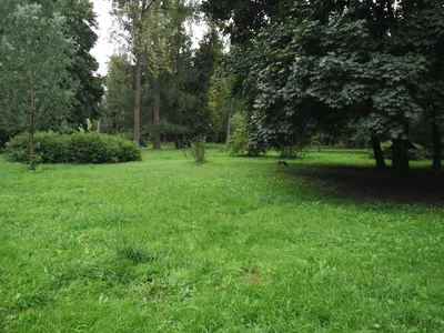 Photo from 18 September 2016