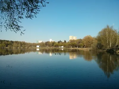 Photo from 26 April 2014