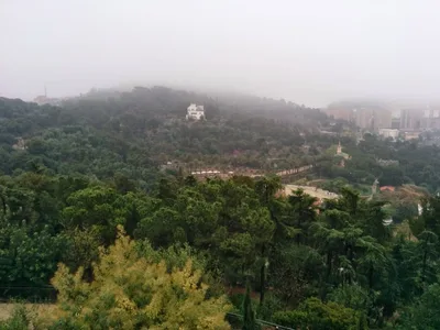 Photo from 30 March 2014