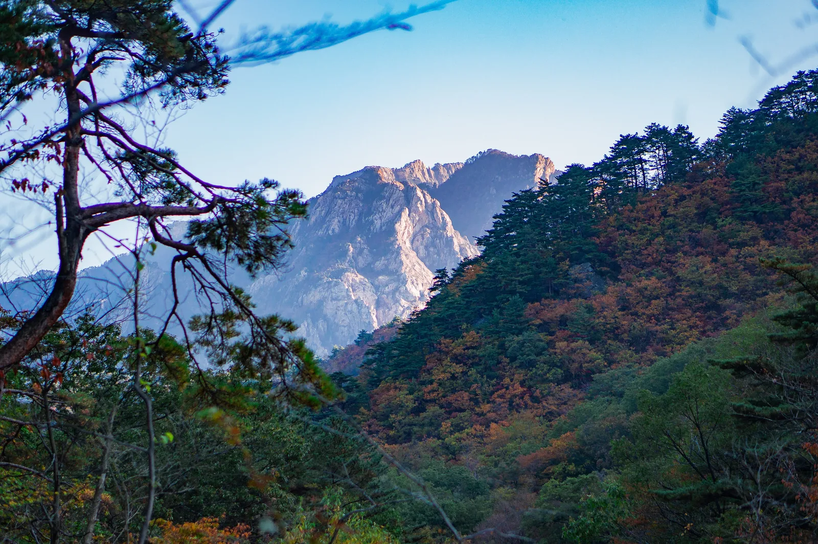 Photo from 19 October 2016