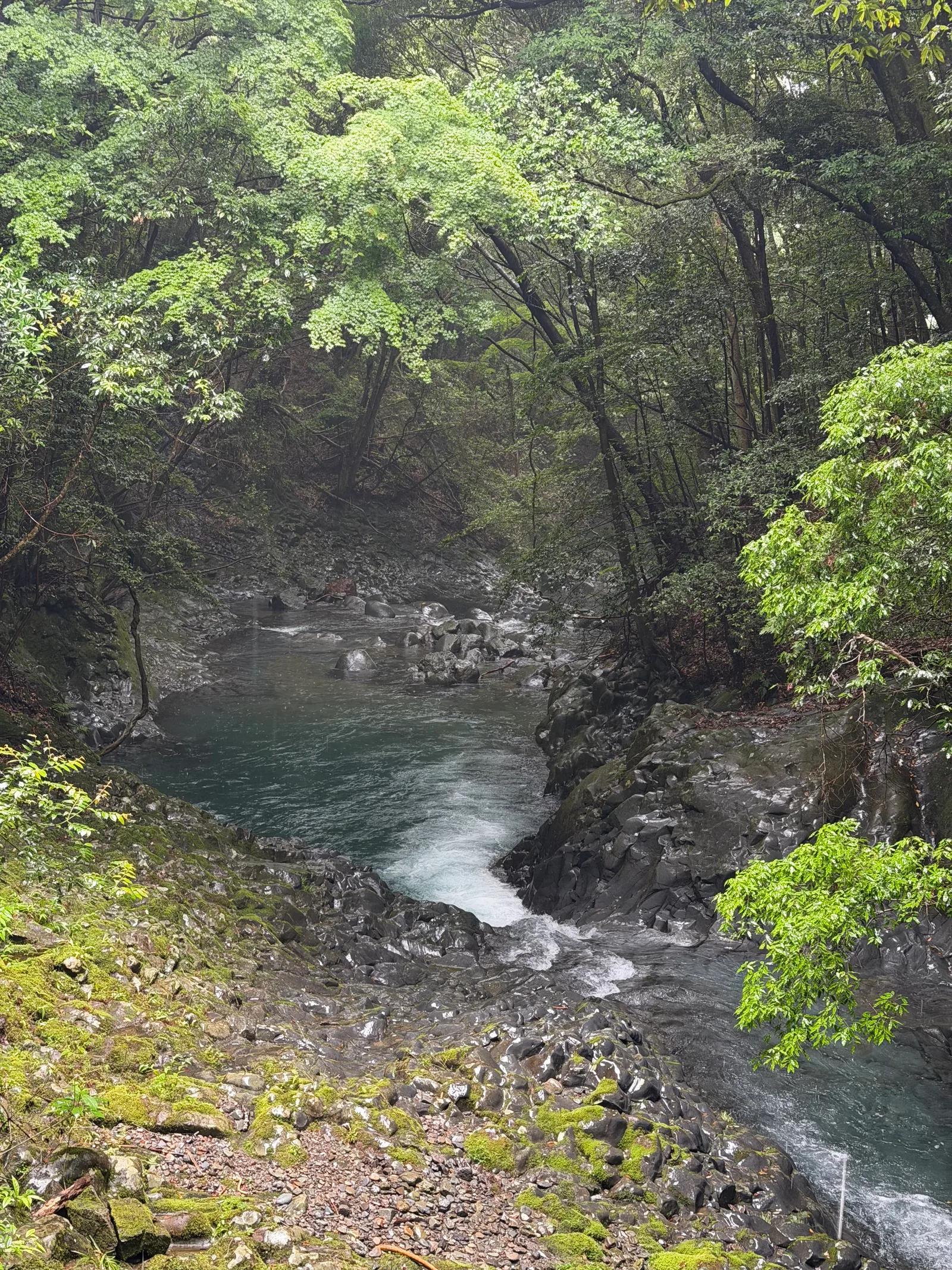 Kawazu-ikadaba, Japan — 20 June 2026