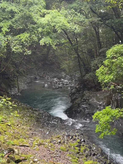 Kawazu-ikadaba, Japan — 20 June 2026