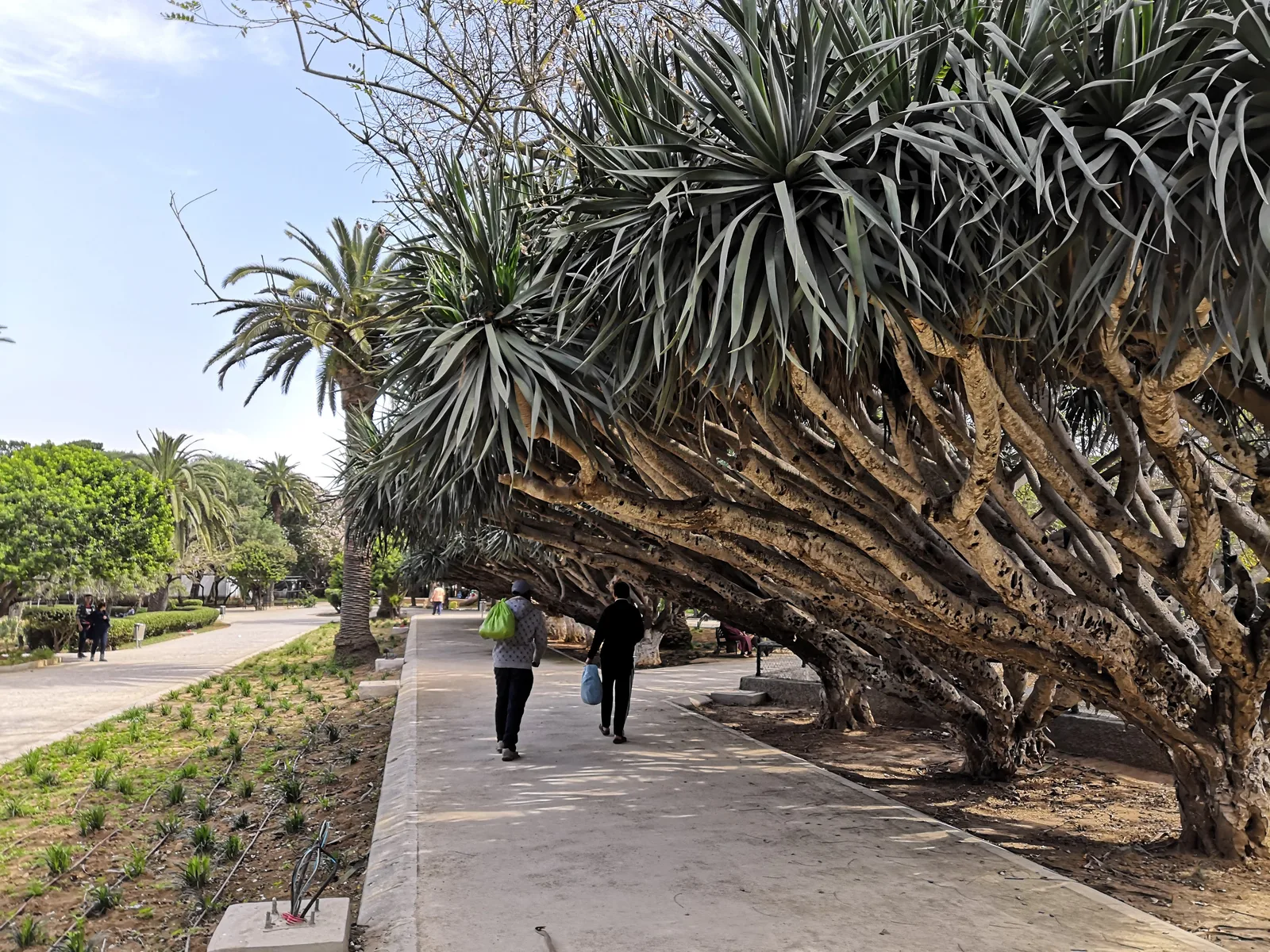 Photo from 18 March 2019