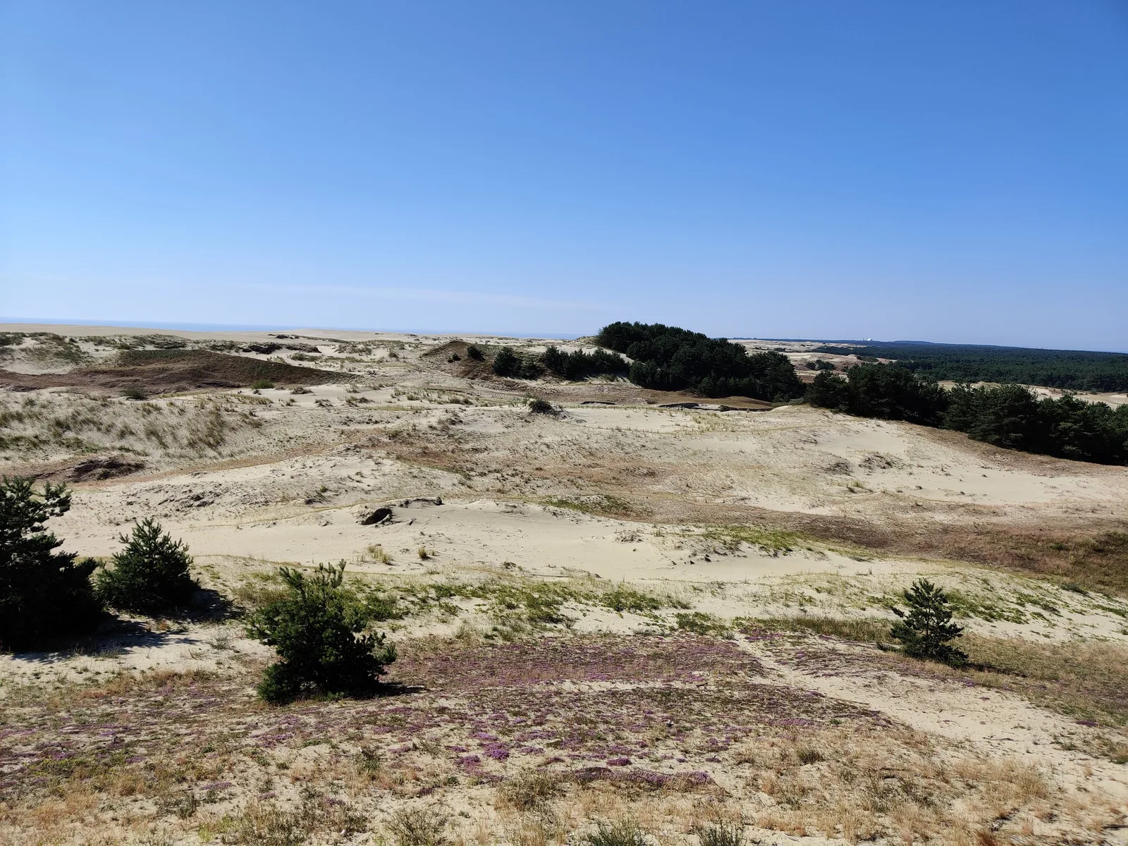 Nida, Lithuania — 18 July 2020
