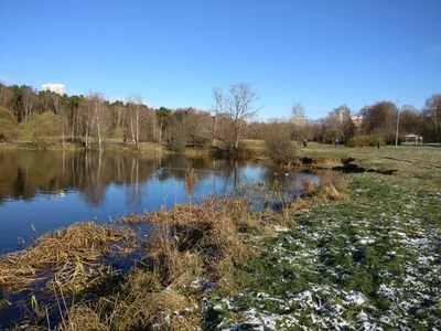 Pokrovskoye-Streshnëvo, Russia — 2 November 2017