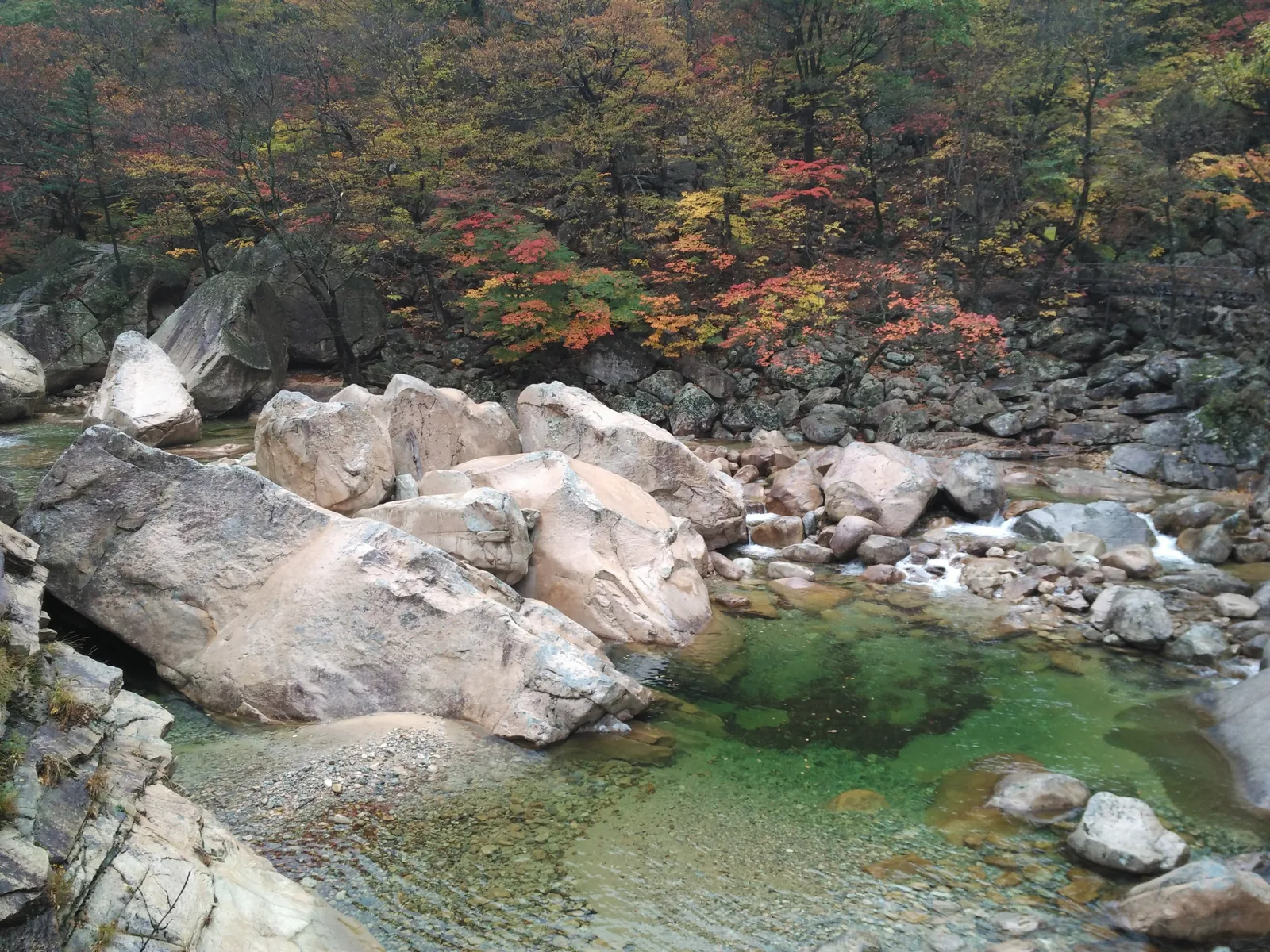 Photo from 21 October 2016