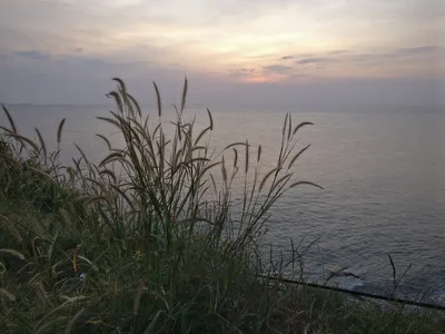 Vũng Tàu, Vietnam — 1 December 2017