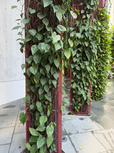 Outram Park, Singapore — 19 July 2026