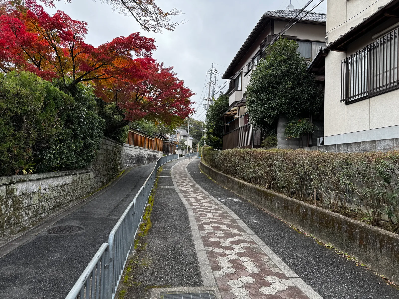 Kamigyō-ku, Japan — 24 November 2024