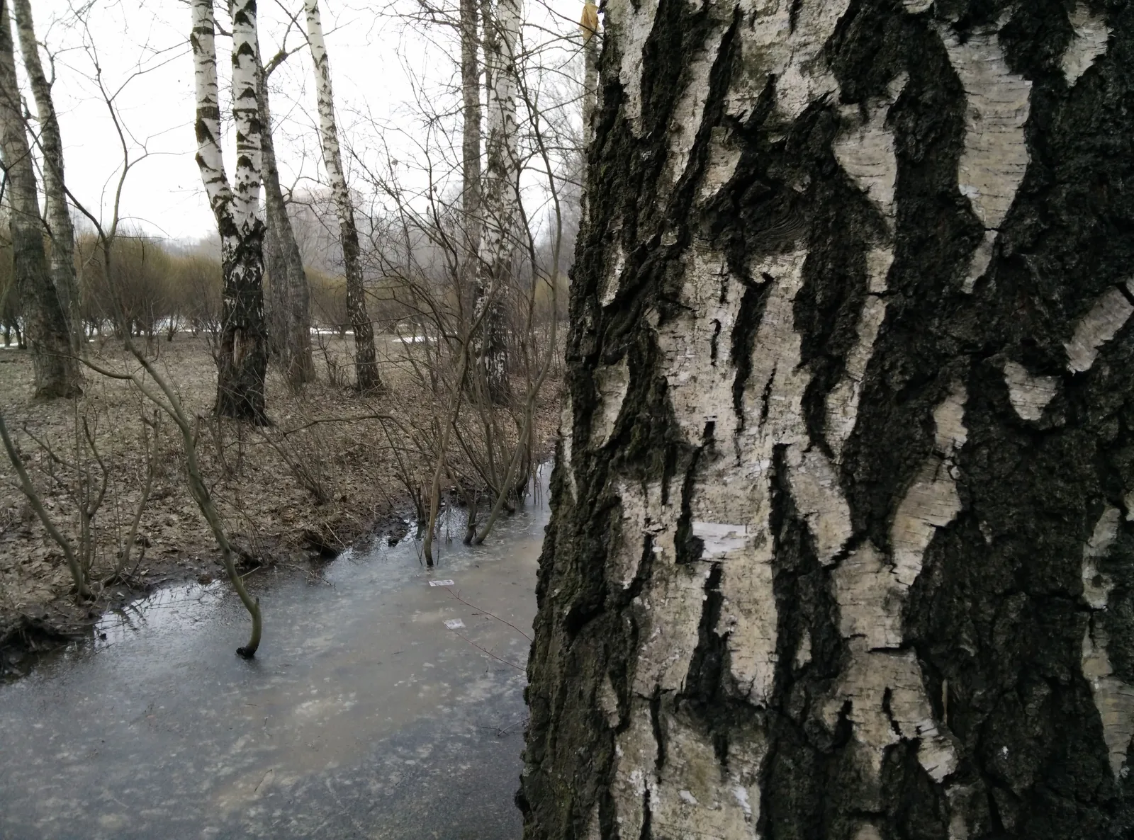 Photo from 21 March 2015