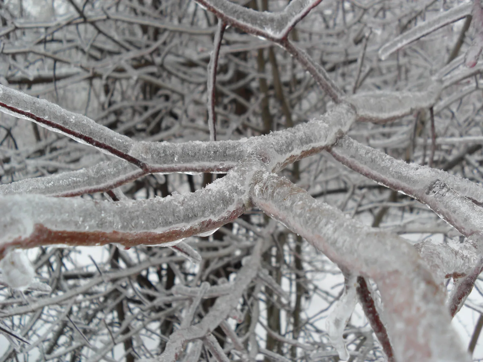 Photo from 26 December 2010
