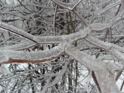 Photo from 26 December 2010