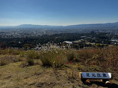 Nara-shi, Japan — 25 November 2024